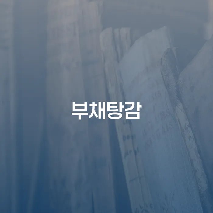 회생전문변호사 개인회생 제도 정해지는