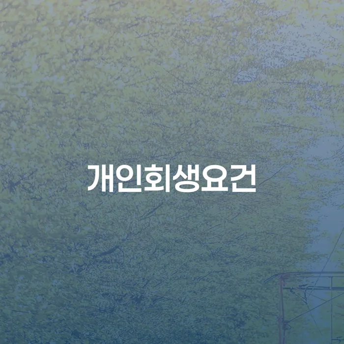 파산회생 개인회생으로 현명하게 확인 하고 진행