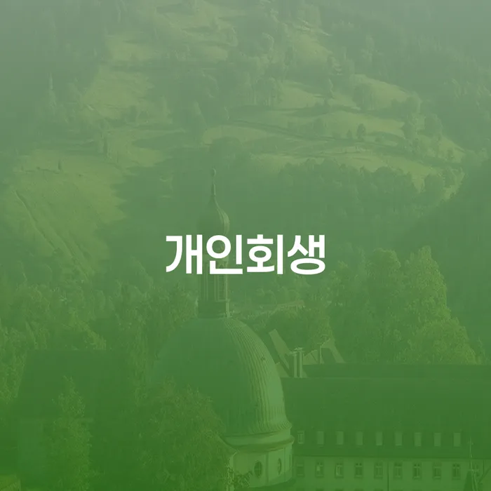 도박빚 개인회생 카드빚 연체 성공은