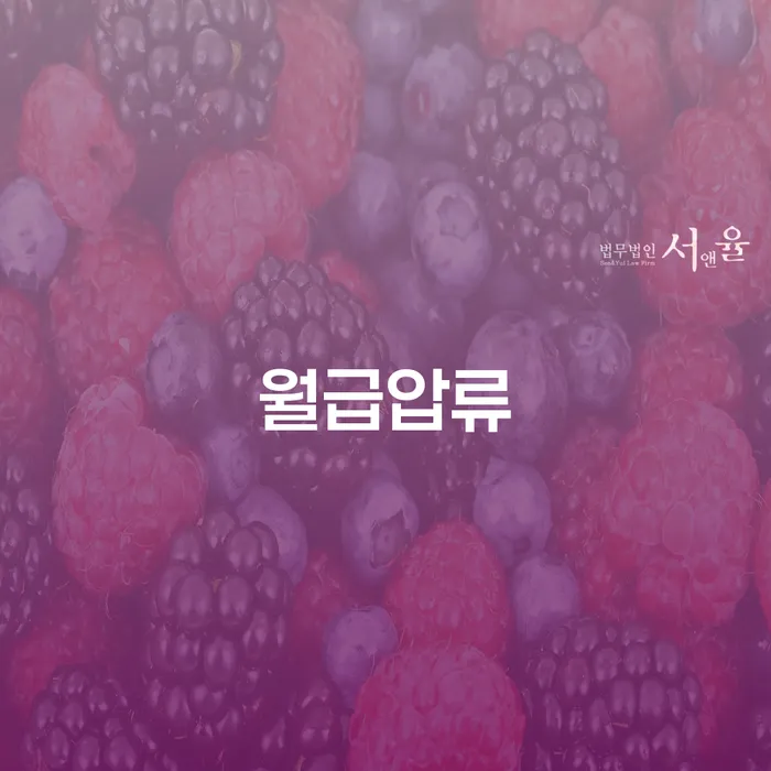 신용회복상담 개인회생,개인파산으로 하여야 하는 일