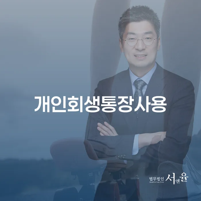 소액대출 연체 시 대출 연체 개인회생 채무조정제도를 이용