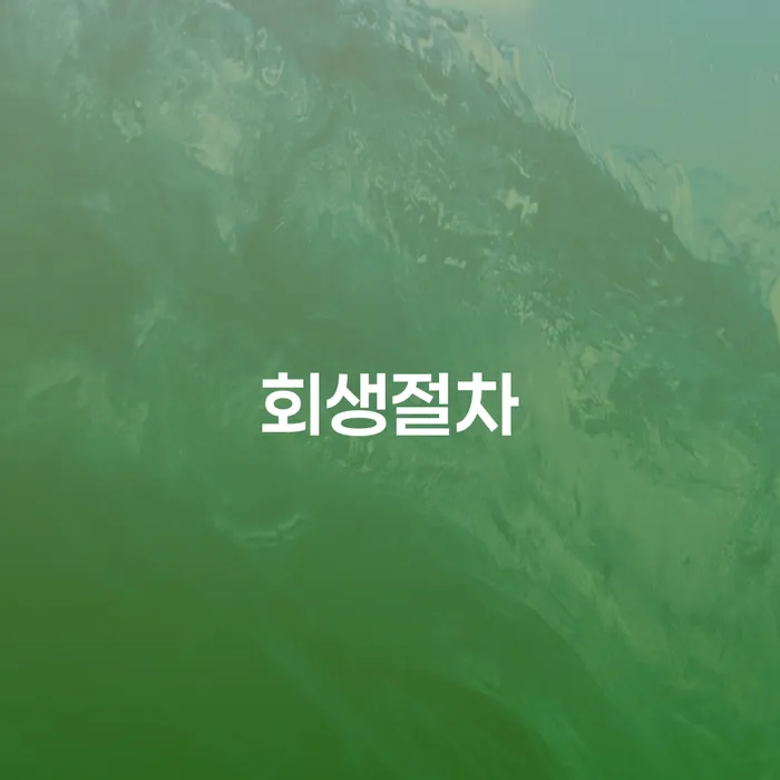 개인회생과정 대출 받은 돈채무조정 확실한 진행