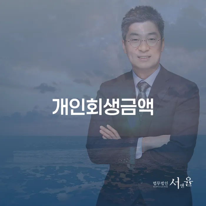 카톡상담 개인회생 개인회생으로 방법 이렇게 진행을