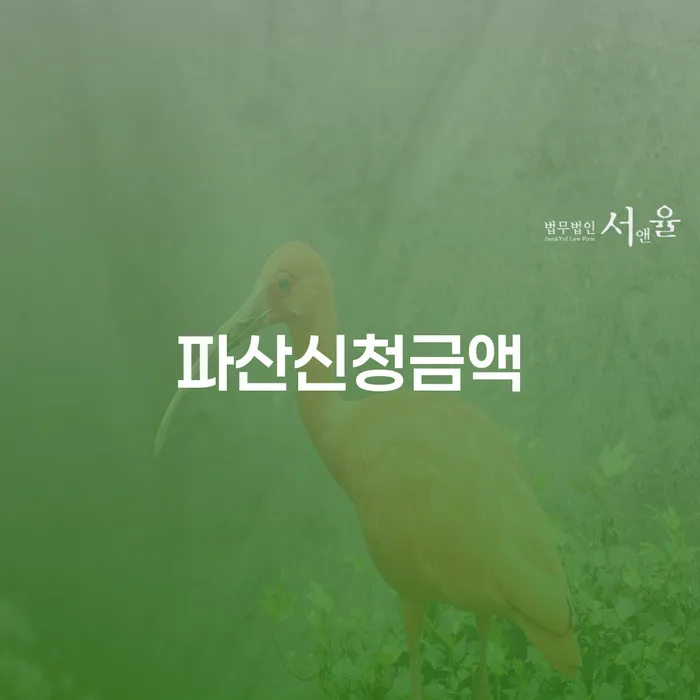 개인파산신고 개인회생 무료상담