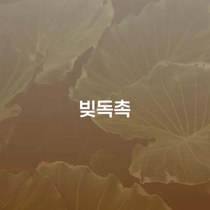 예천군 개인파산변호사 연체 채무 신속해결방법 추천하는 법률사무소