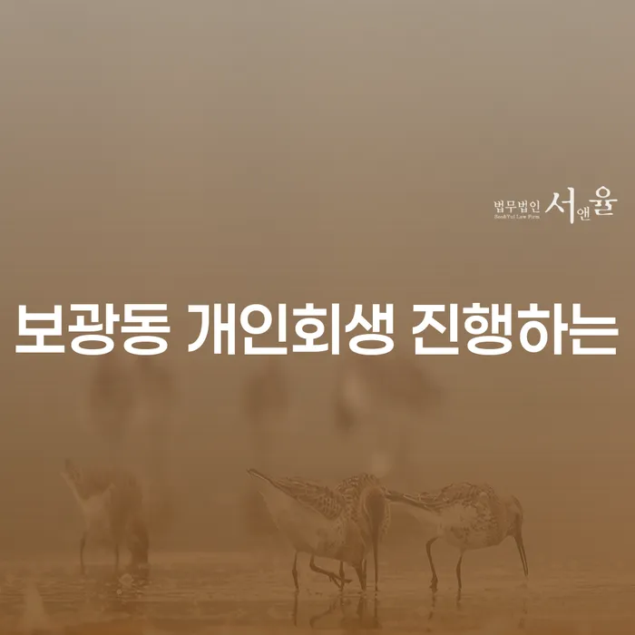 보광동 개인회생 진행하는