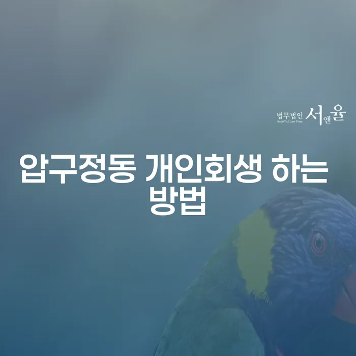압구정동에서 개인회생을 성공적으로 진행하는 방법은?
