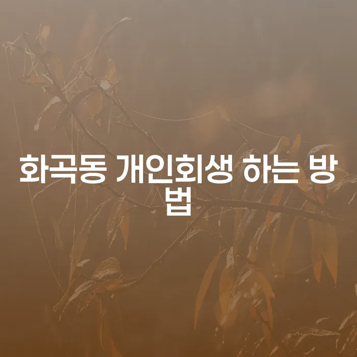 화곡동에서 개인회생을 어떻게 시작해야 할까요?