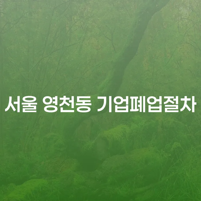 서울 영천동 기업폐업절차와 연체기록삭제, 어떻게 접근해야 할까요?