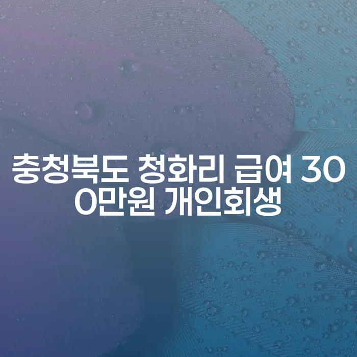 충청북도 청화리에서 급여 300만원으로 개인회생을 시작할 수 있을까요?